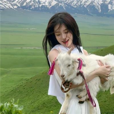 利刃出鞘2:玻璃洋葱